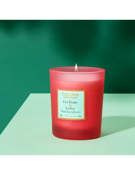 DUOS PARFUMÉS - Bougie Lys Tigré & Lotus – Élégance Florale et Aquatique