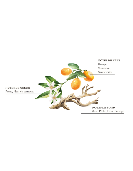 ÉDITION LIMITÉE - LES ESTIVALES - Bougie Parfumée Fleur de Kumquat