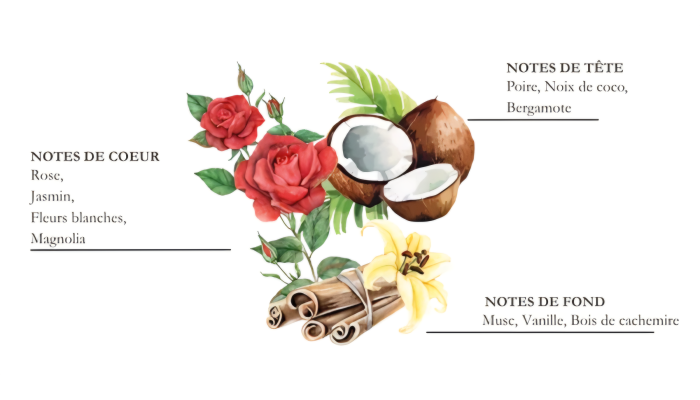 ÉDITION LIMITÉE - LES ESTIVALES - Bouquet...