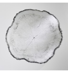 Miroir souche d'arbre 2