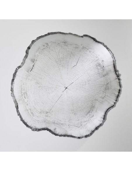 Miroir souche d'arbre