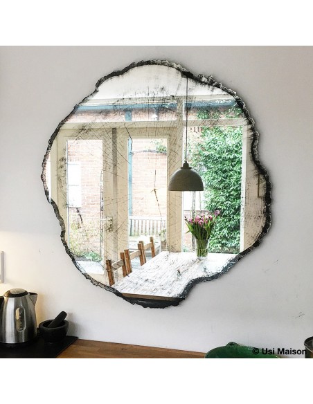 Miroir souche d'arbre