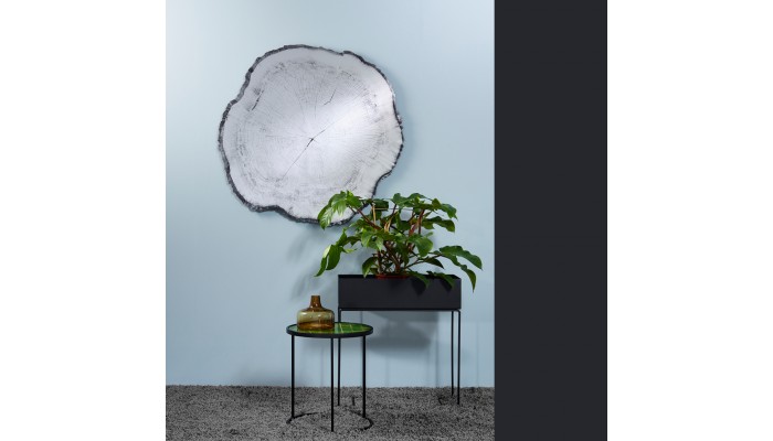 Miroir souche d'arbre
