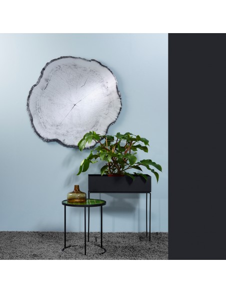 Miroir souche d'arbre