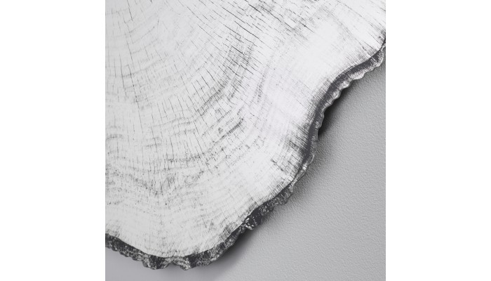 Miroir souche d'arbre