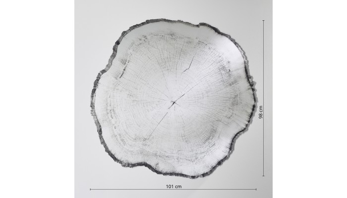 Miroir souche d'arbre