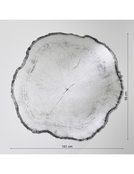 Miroir souche d'arbre
