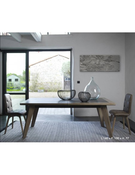 ARTISTE - Table de repas