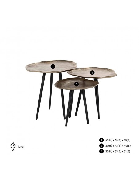 Set de 3 tables basses Champagne
