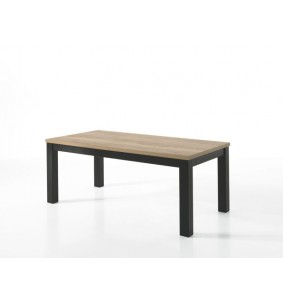 MOUNT - Table fixe - 4 pieds massifs 160 cm x 100 cm 