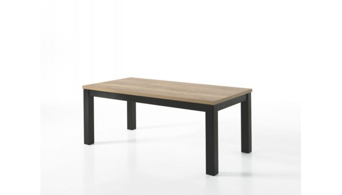 MOUNT - Table fixe - 4 pieds massifs 200 cm x 100 cm 