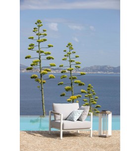 BASTINGAGE - Fauteuil d'extérieur blanc LES JARDINS