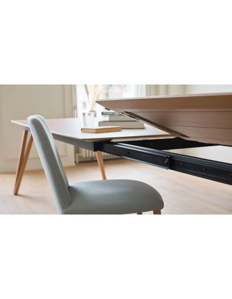 RENNES - Table extensible