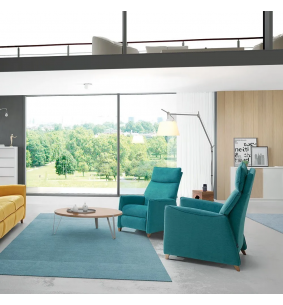 Fauteuil relax releveur 2