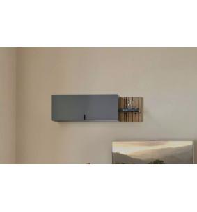 TOPAZE - Etagère murale avec porte largeur 112 cm carbone