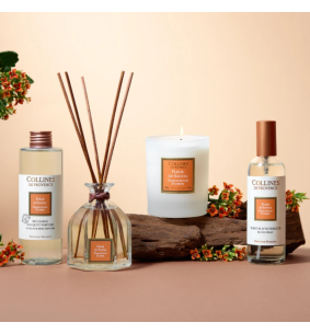 LES NATURELLES - Parfum d'intérieur Fleur de santal 2