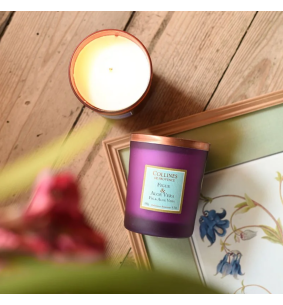 DUOS PARFUMÉS - Bougie Figue & Aloe Vera 2