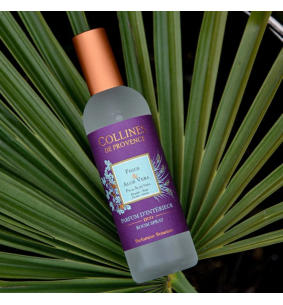 DUOS PARFUMÉS - Parfum d'intérieur Figue & Aloe Vera 2