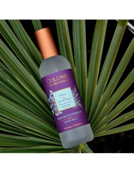 DUOS PARFUMÉS - Parfum d'intérieur Figue & Aloe Vera