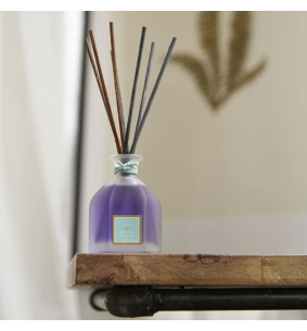 DUOS PARFUMÉS - Bouquet parfumé Figue & Aloe Vera 2